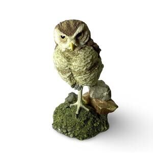 Franklin Mint The Burrowing Owl Figurine